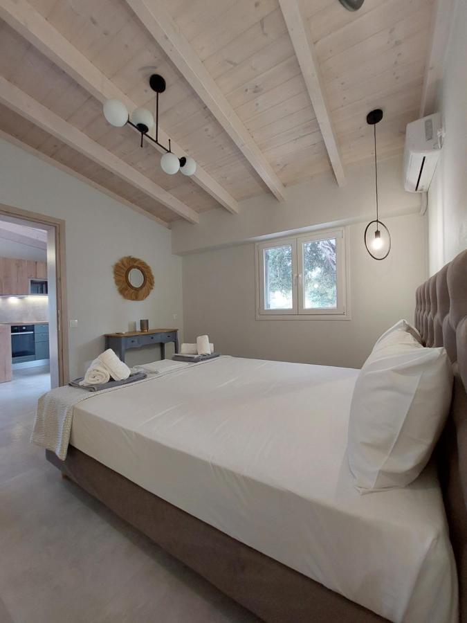 Electra Villa & Pool Studios Gaios Luaran gambar